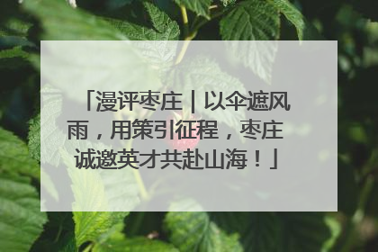 漫评枣庄｜以伞遮风雨，用策引征程，枣庄诚邀英才共赴山海！
